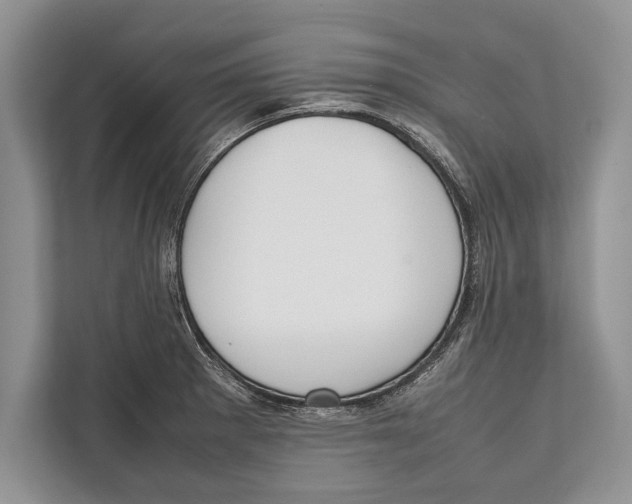 X0000112811281200909181543