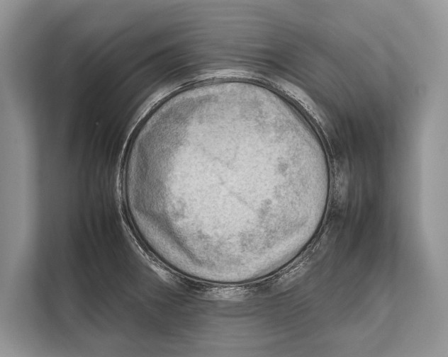 X0000112811282200909181543