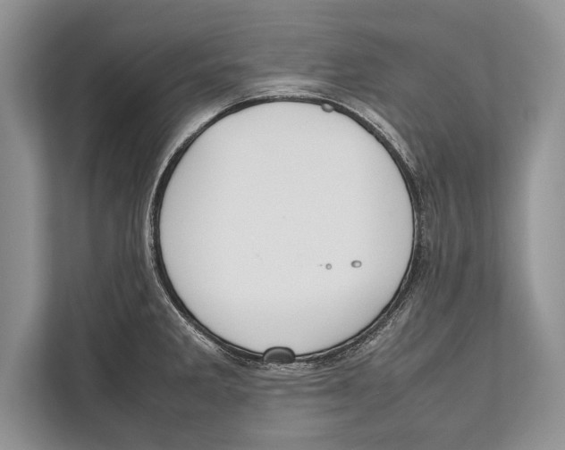 X0000112811285200909181543