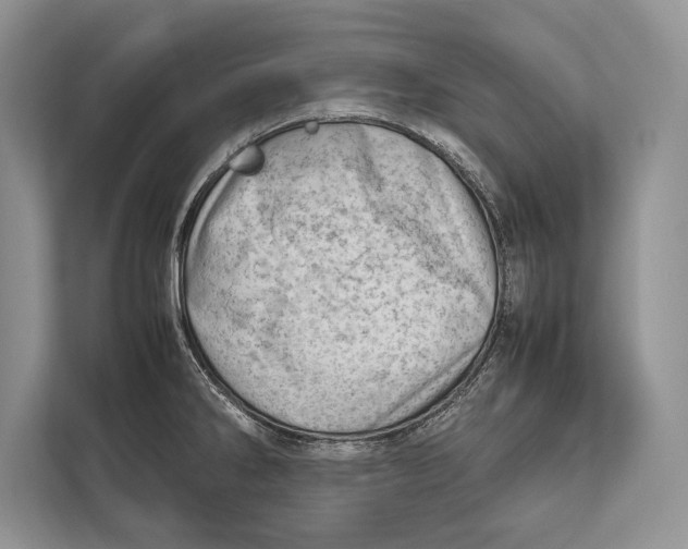 X0000112811286200909181543