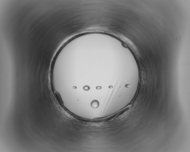 X0000112811288200909181543