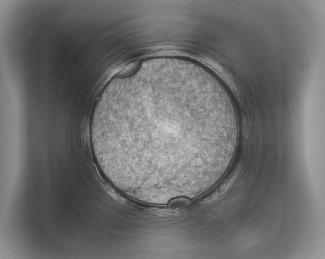 X0000112811289200909181543