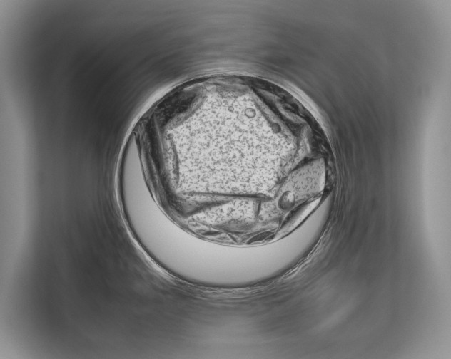 X0000112811293200909181543