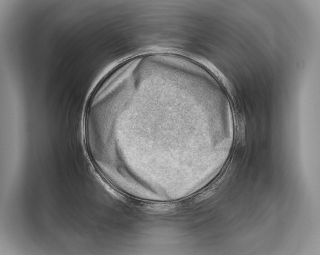 X0000112811294200909181543