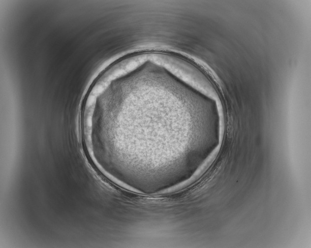 X0000112811295200909181543