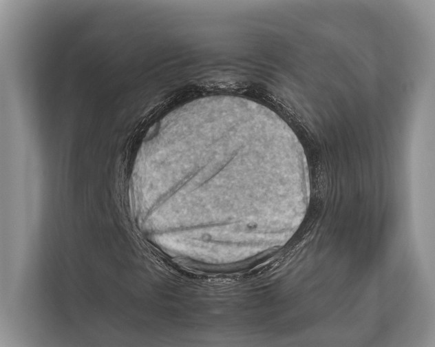 X0000112811297200909181542