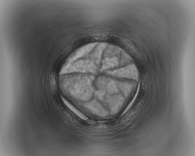 X0000112811298200909181542