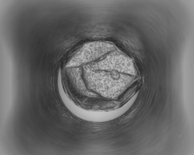 X0000112811300200909181542