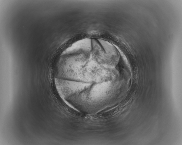 X0000112811301200909181542