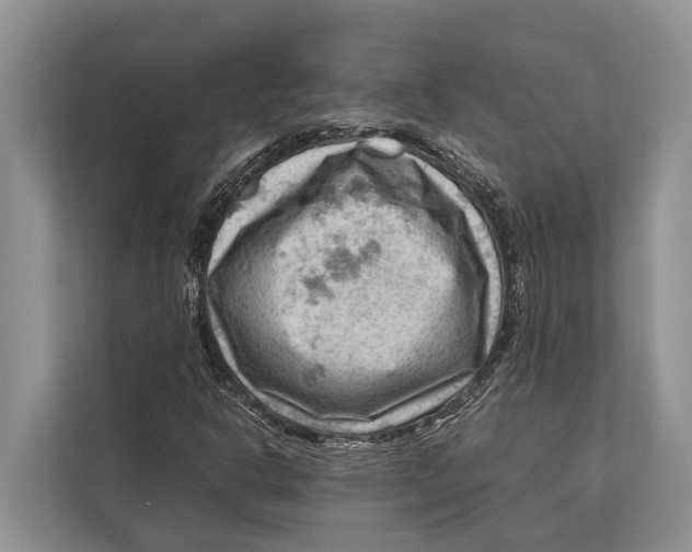 X0000112811302200909181542