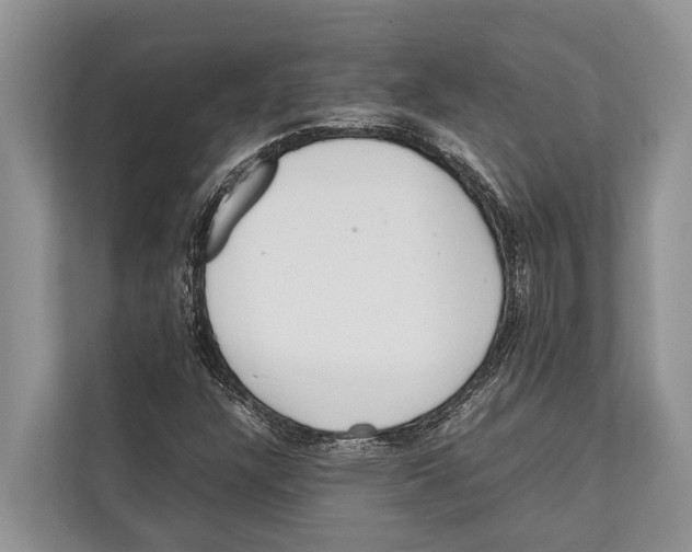 X0000112811304200909181542