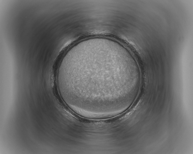 X0000112811306200909181542