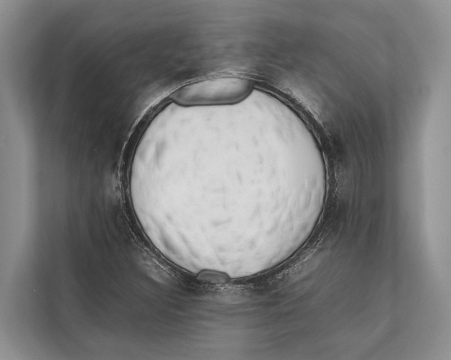 X0000112811308200909181542