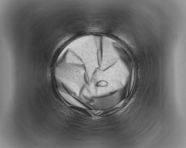 X0000112811309200909181542