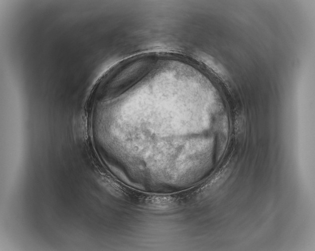 X0000112811310200909181542