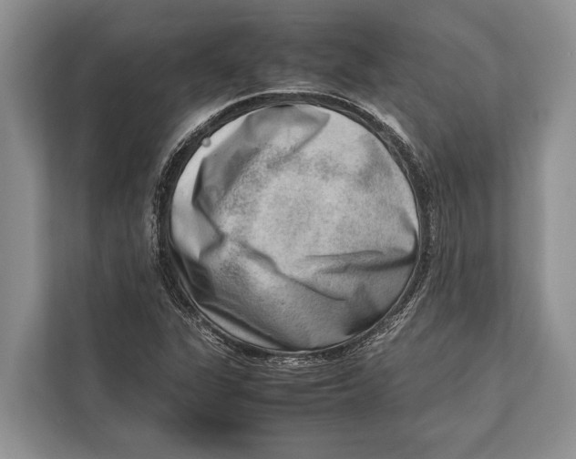 X0000112811311200909181542