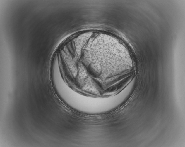 X0000112811312200909181542