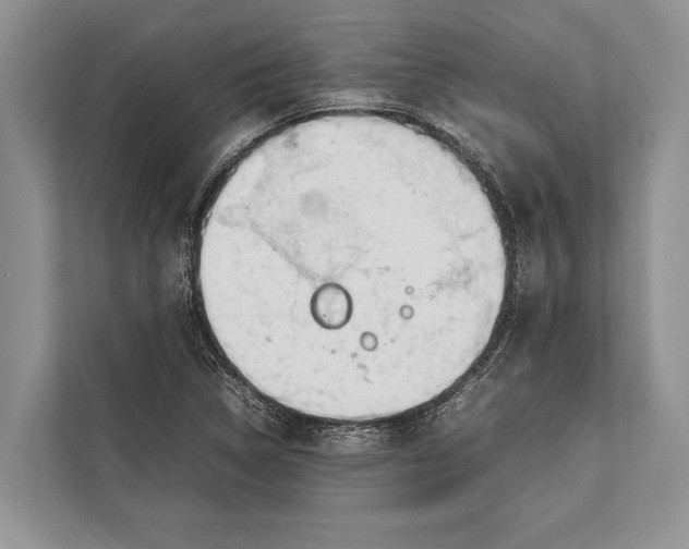 X0000112811314200909181542