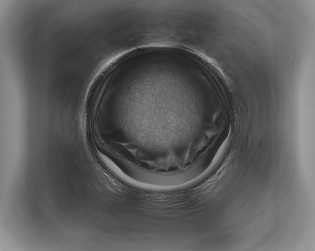 X0000112811319200909181542