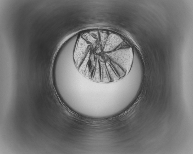 X0000112811320200909181542