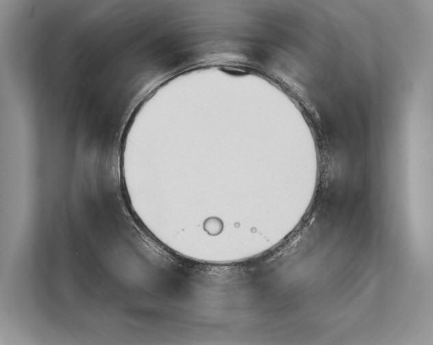 X0000112811322200909181542