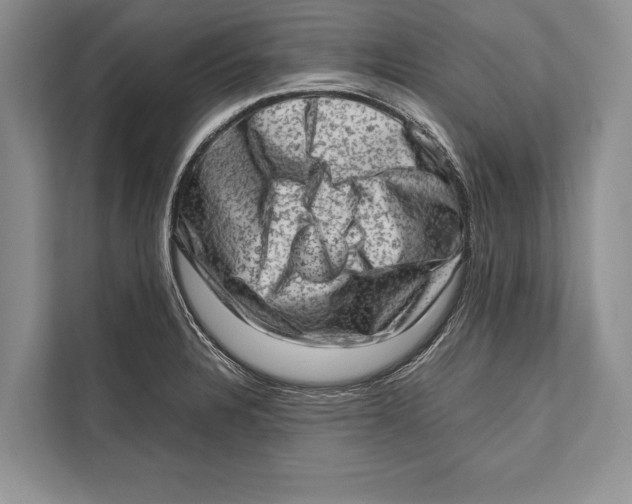 X0000112811328200909181542