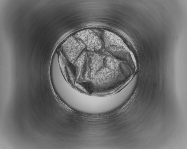 X0000112811330200909181542