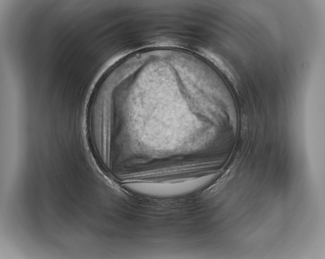 X0000112811331200909181542