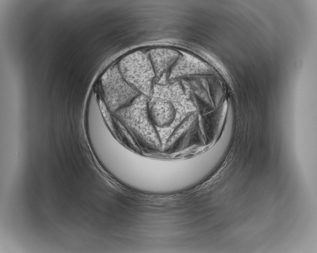 X0000112811332200909181542