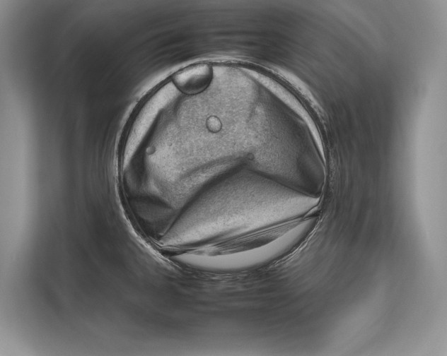 X0000112811335200909181542