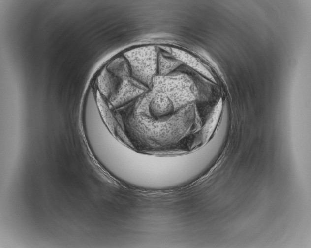 X0000112811336200909181542