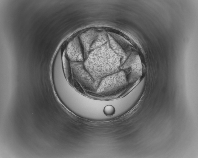 X0000112811342200909181542