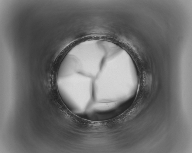 X0000112811352200909181542