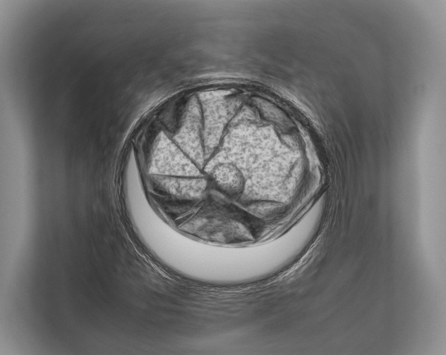 X0000112811357200909181542