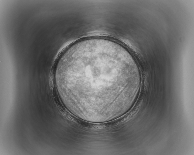 X0000112811358200909181542