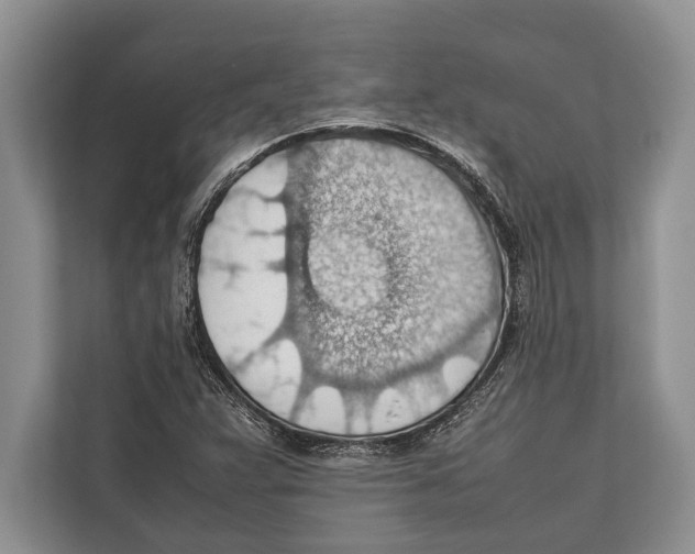 X0000112811359200909181542