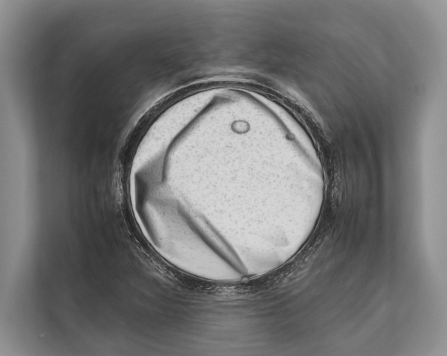 X0000112811360200909181542