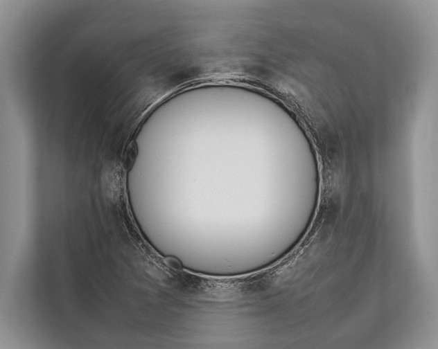 X0000112811361200909181542