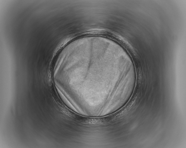 X0000112811362200909181542