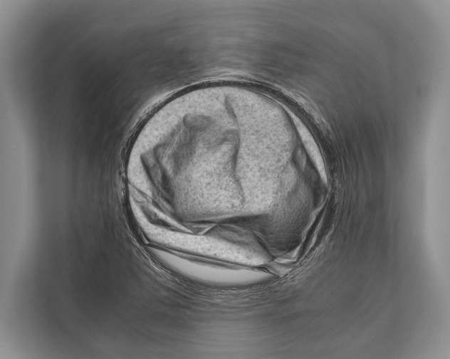 X0000112811363200909181542