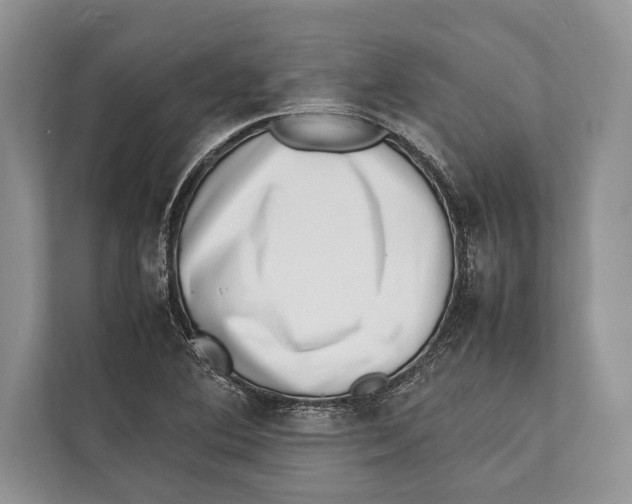 X0000112811364200909181542