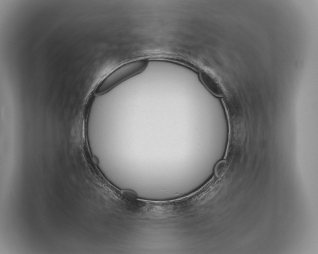 X0000112811365200909181542