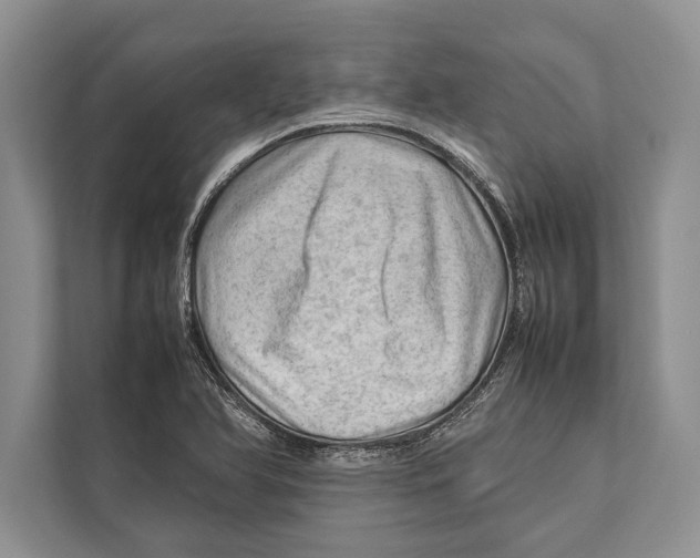 X0000112811366200909181542