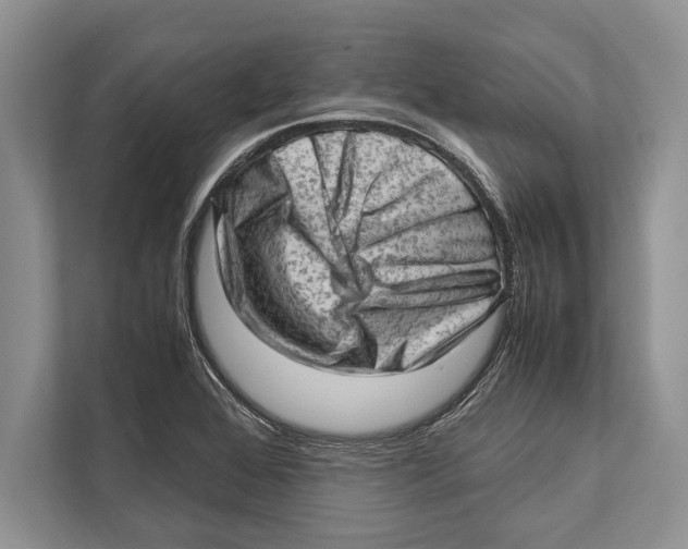 X0000112811368200909181542