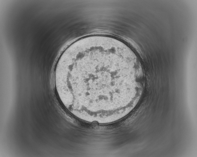 X0000112811371200909181542