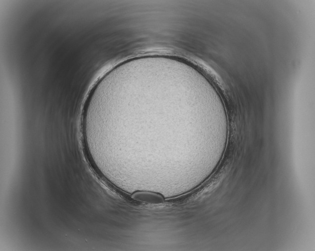 X0000112811373200909181542