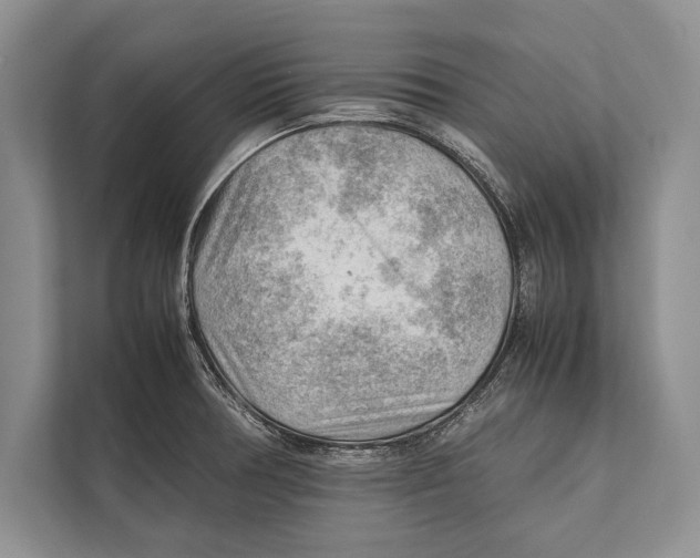 X0000112811378200909181541