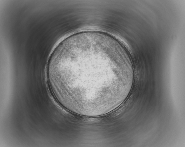 X0000112811382200909181541