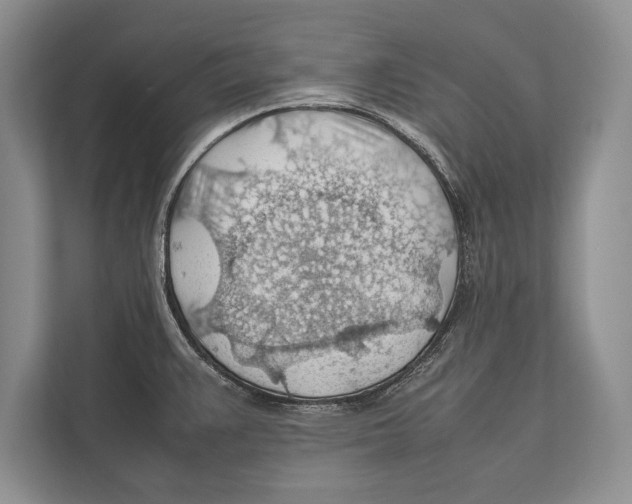 X0000112811383200909181541