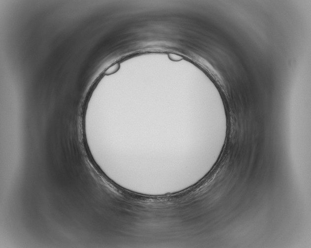 X0000112811384200909181541